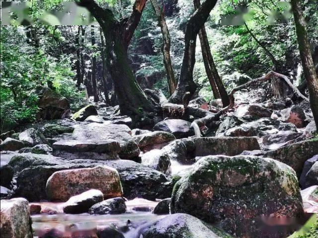 海贼王伟大冒险
